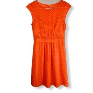 J. Crew Dress 6 Sleeveless A line Sheer Overlay